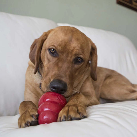 Easy Treat Liver