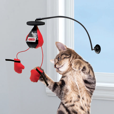 Connects Window Boxing