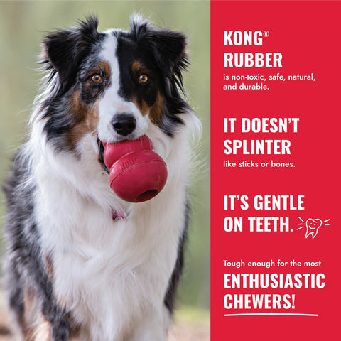 KONG Ball w/Rope
