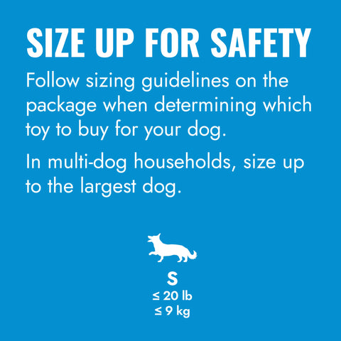 KONG Puppy Flyer, Blue