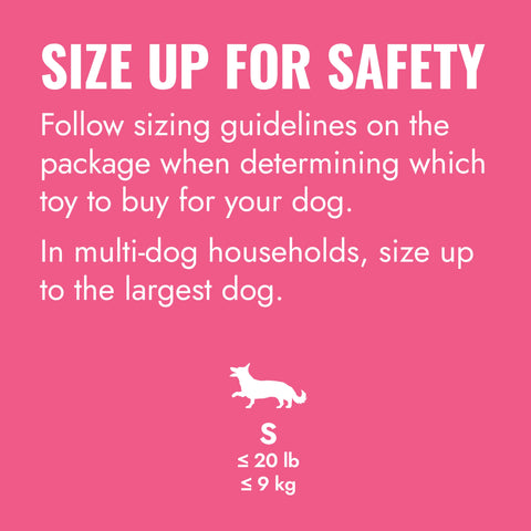 KONG Puppy Goodie Bone Pink
