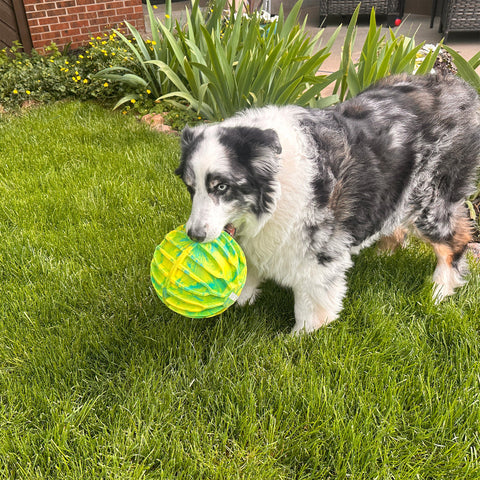 Flexball Sport Ball