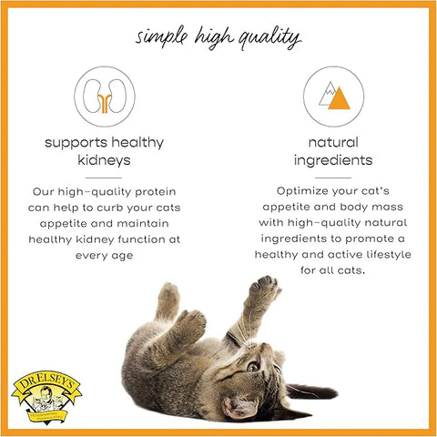 Dr. Elsey's cleanprotein Original Turkey Recipe Wet Cat Food, 2.75 oz Can (Pack of 24)